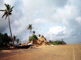 image of Coastal west Bengal Tour