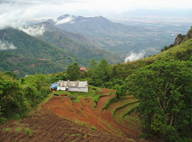 image of Kodaikanal hills Tour