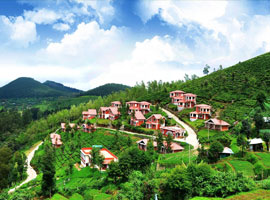 image of Ooty Tour