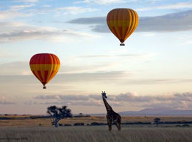 kenya Tour