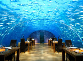 maldives Tour